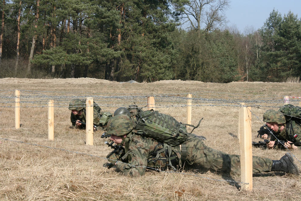 波兰陆军第15机械化旅演习 东西风格装备混杂