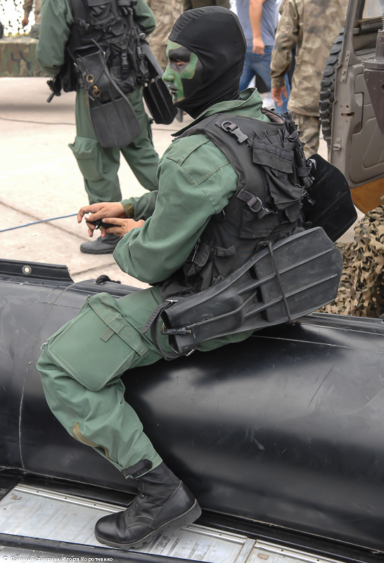 秘鲁海军陆战队特种部队蛙人装备展示 用进口