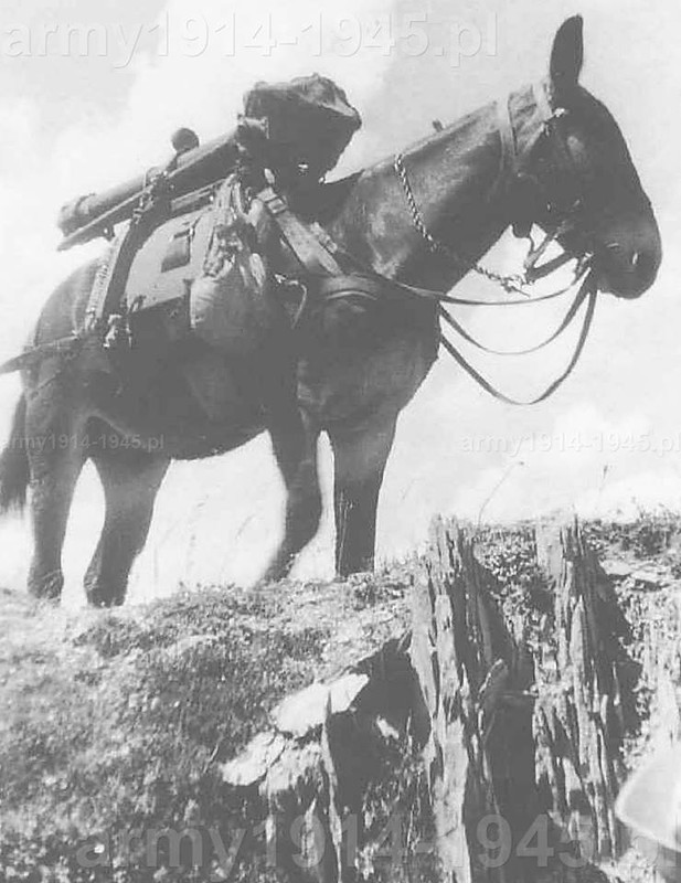 1940年翻越阿尔卑斯山脉的意大利山地炮兵部