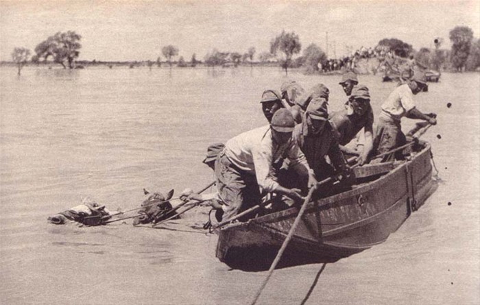 【视频】黄泛区,黄泛区完整 -什么叫黄泛区