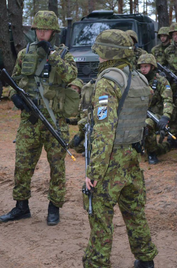 爱沙尼亚立陶宛军队联训