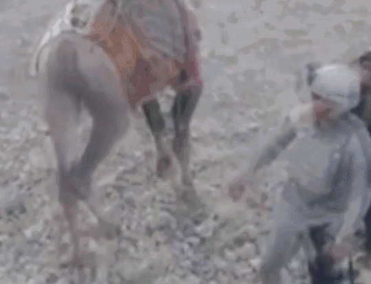集锦丨让我们来看看各国士兵的沙雕与碉堡瞬间
