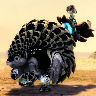 惠乐购_《激战2》官方网站